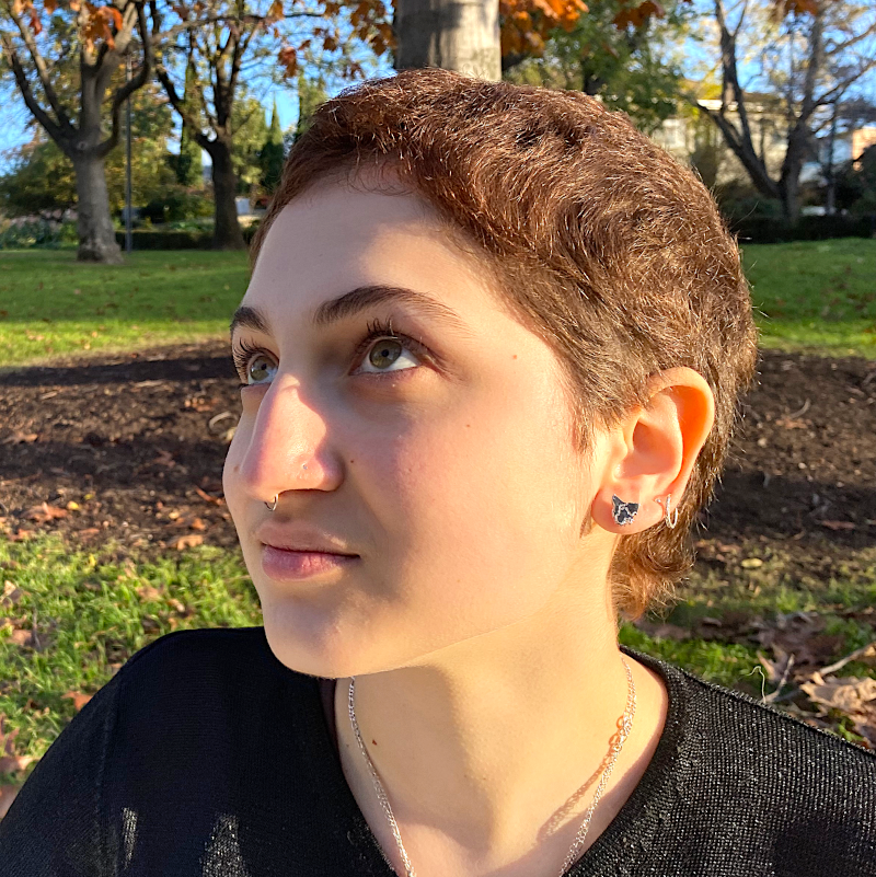 Tassie Map Earring (Plated) - Stud