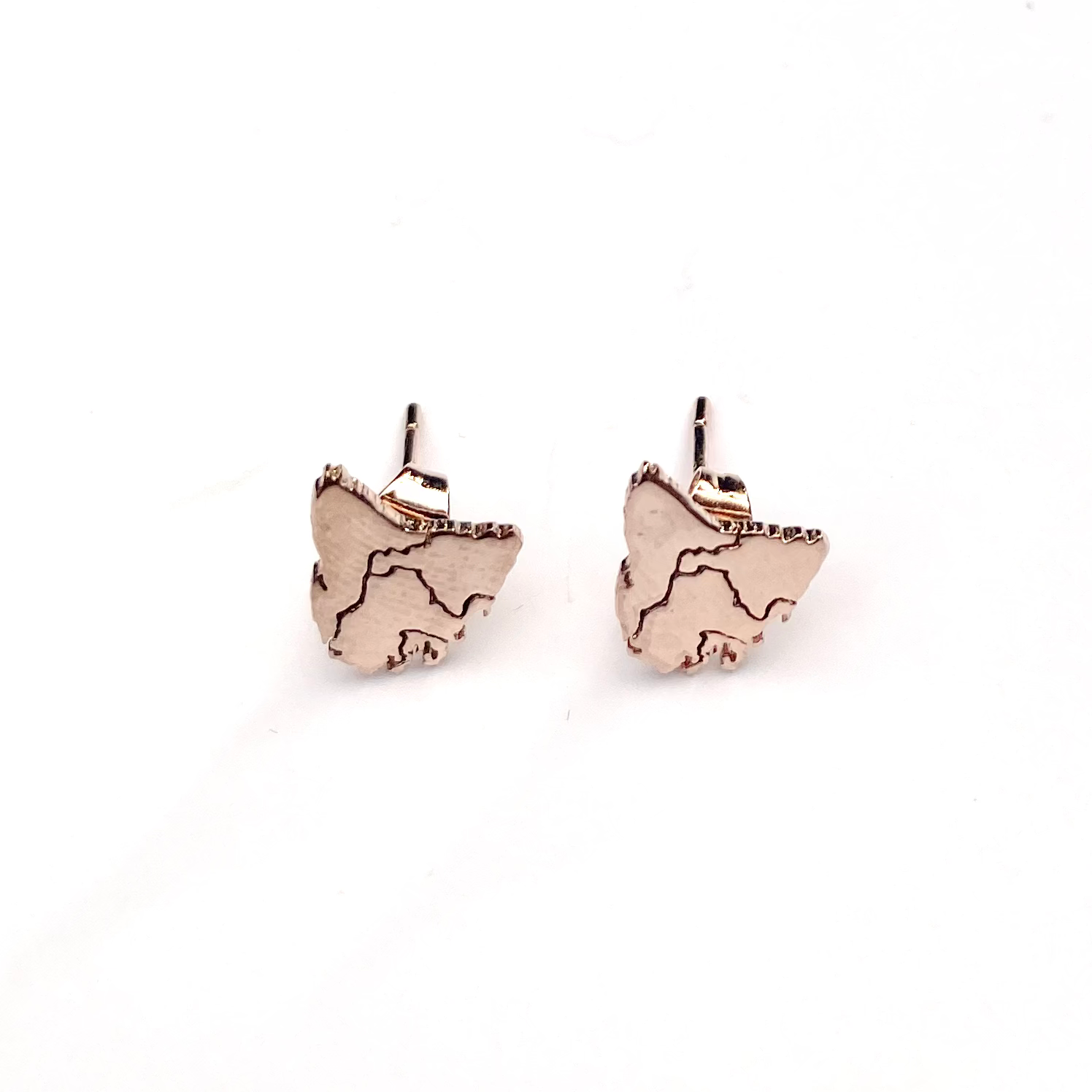 Tassie Map Earring (Plated) Stud – tassiecharmshop