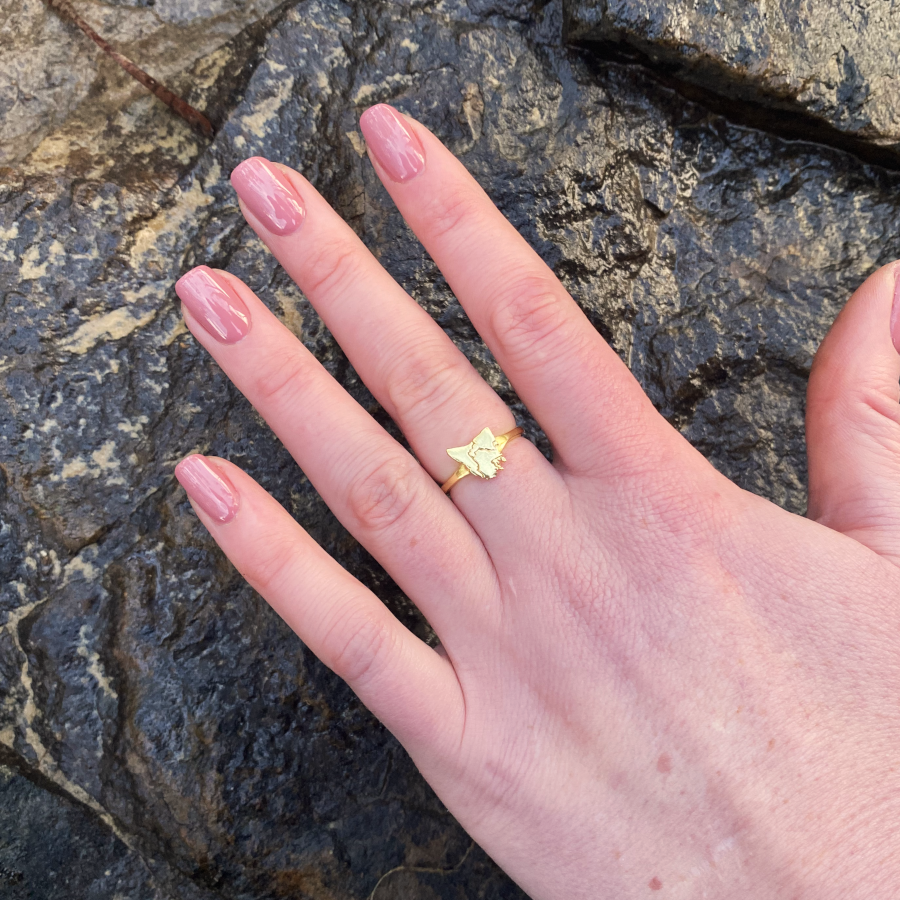 Tassie Map Ring