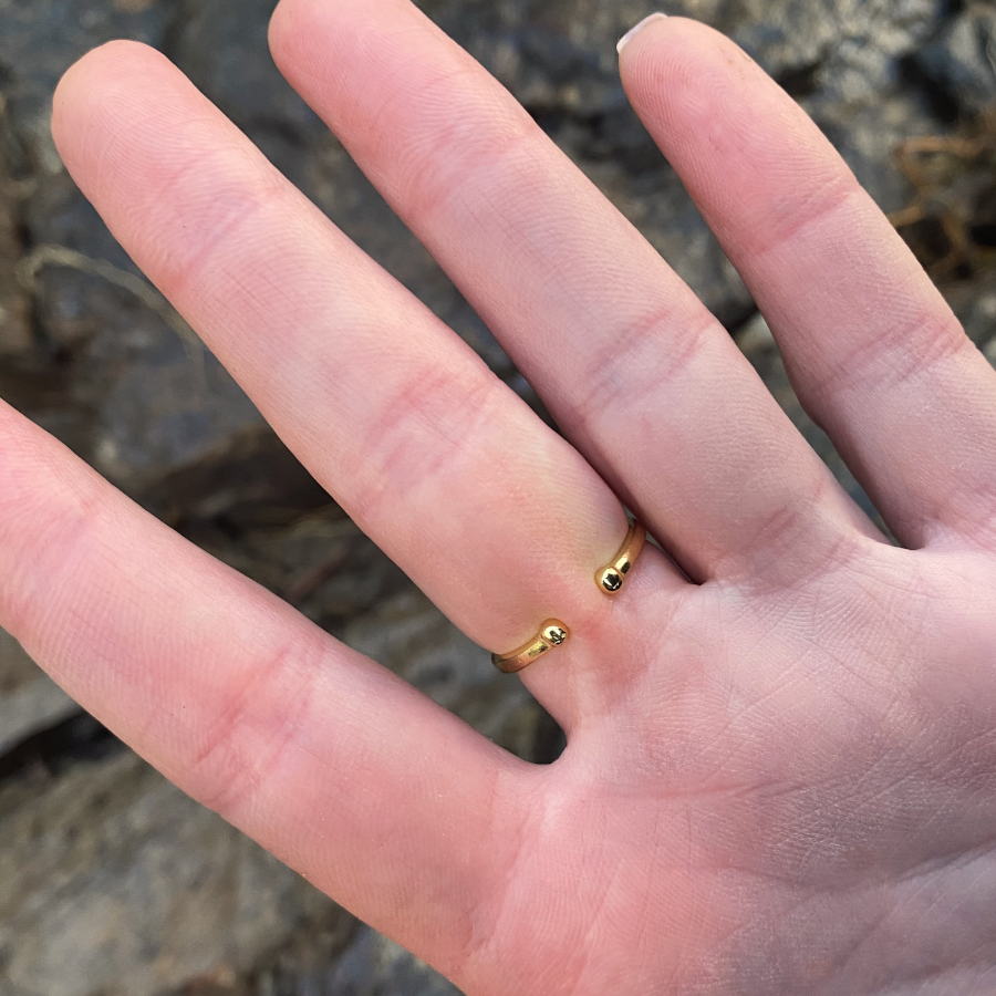 Tassie Map Ring