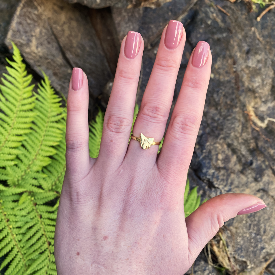 Tassie Map Ring