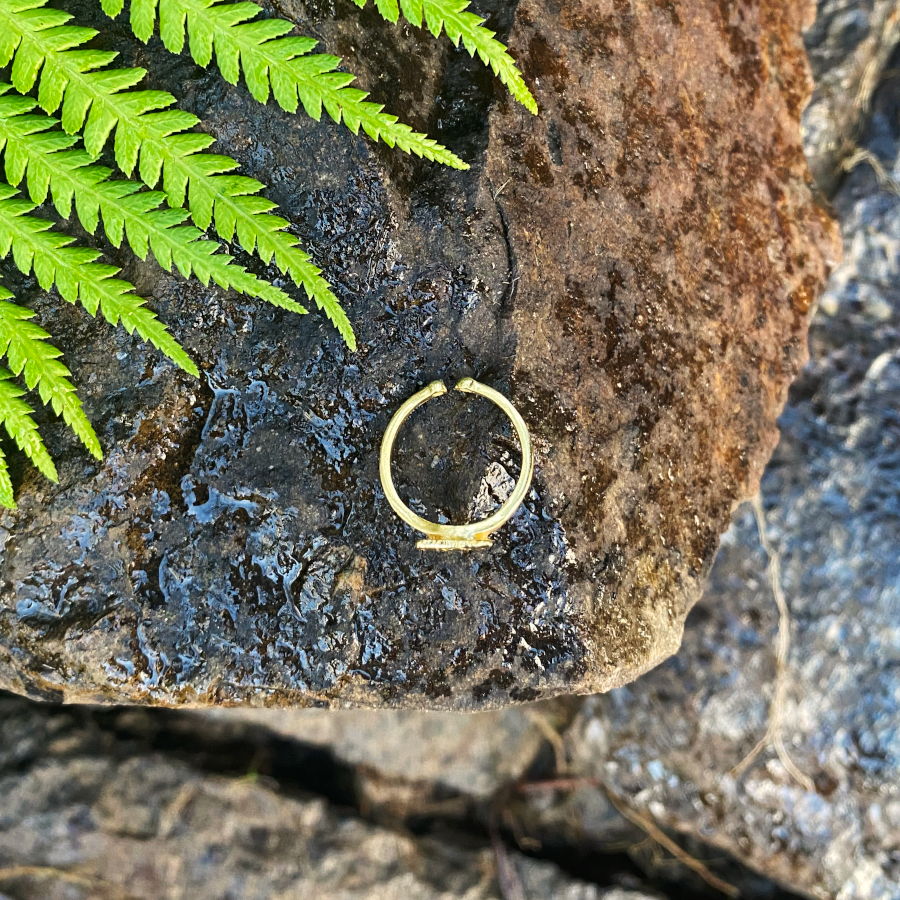 Tassie Map Ring