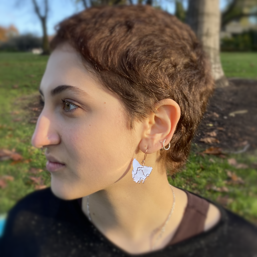 Tassie Map Earring - Hook