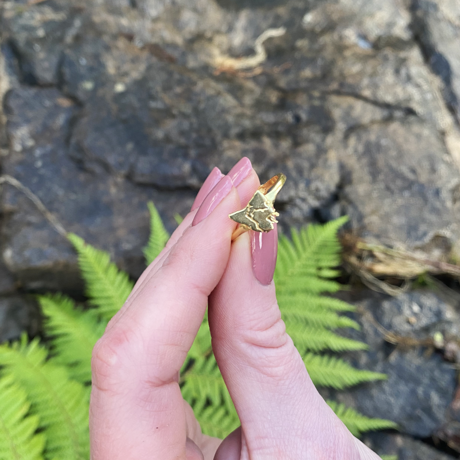 Tassie Map Ring